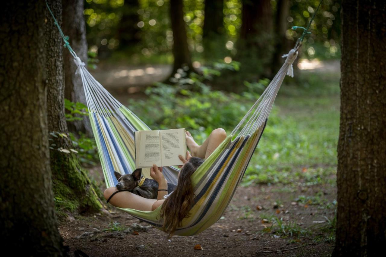 Forest Camping Mozirje Exteriör bild