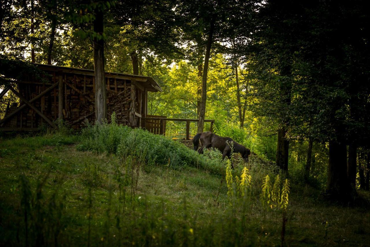 Forest Camping Mozirje Exteriör bild