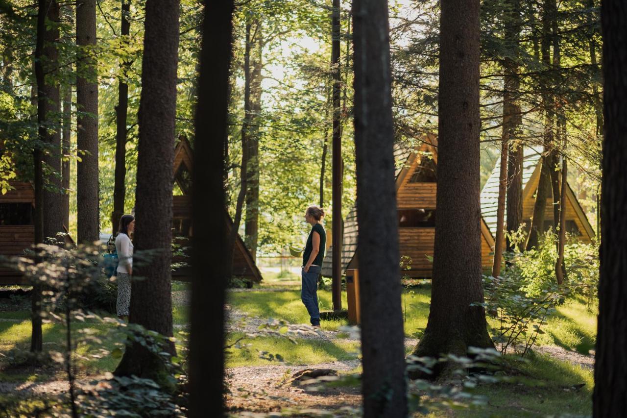 Forest Camping Mozirje Exteriör bild