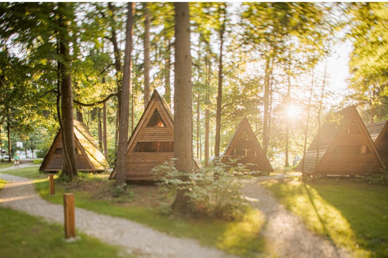 Forest Camping Mozirje Exteriör bild