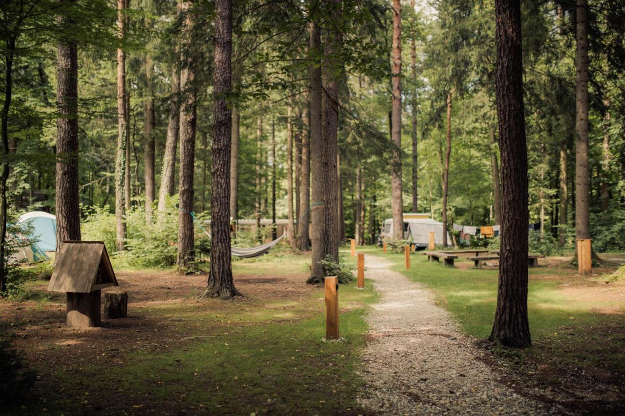Forest Camping Mozirje Exteriör bild