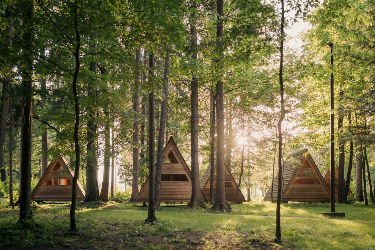 Forest Camping Mozirje Exteriör bild