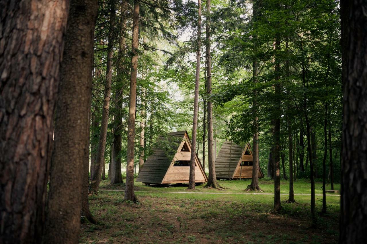 Forest Camping Mozirje Exteriör bild