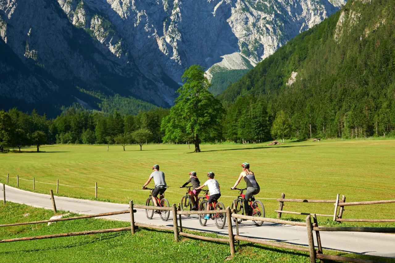 Forest Camping Mozirje Exteriör bild
